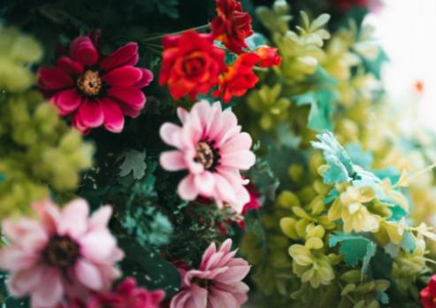 Lag dine egne røde hybridte rosebuketter: Hev hjemmet ditt med elegante blomsteroppsatser